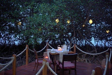  民丹岛瑞僖敦酒店的红树林私享晚餐：以美食与自然共叙可持续未来